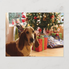 バセットハウンドクリスマス ポストカード