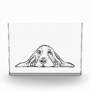 バセットハウンドシンプル白黒子犬の目 フォトブロック