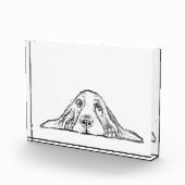 バセットハウンドシンプル白黒子犬の目 フォトブロック (右)