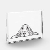 バセットハウンドシンプル白黒子犬の目 フォトブロック (左)