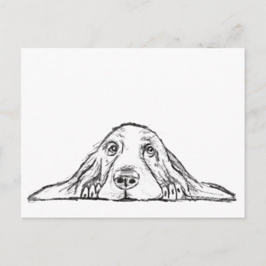 バセットハウンドシンプル白黒子犬の目 ポストカード (正面)