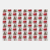 バセットハウンドパピーインホリデー抱き枕 ラッピングペーパーシート (正面2)