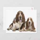 バセットハウンドパピードグラブ考えハローズオブユー ポストカード (正面/裏面)