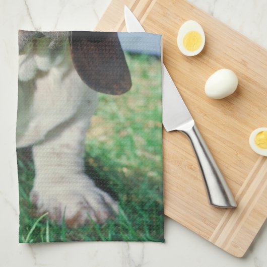 バセットハウンド犬の台所タオル キッチンタオル (四つ折り)