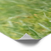 バセットハウンパピー歩く ポスター (角)