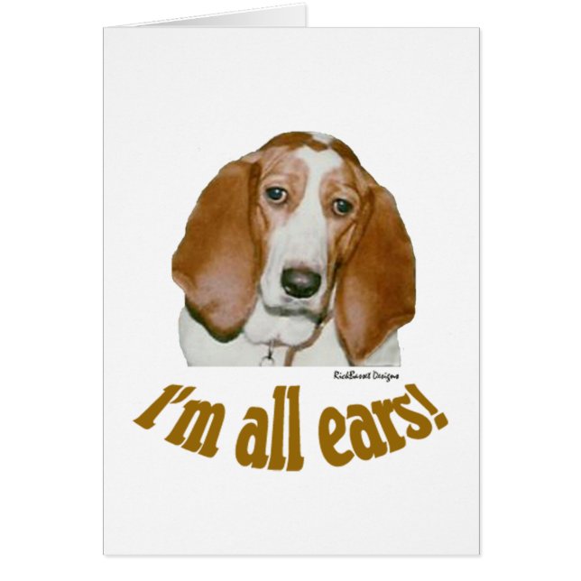 バセット犬の耳 (正面)