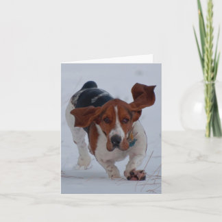 バセット犬は絶食します カード