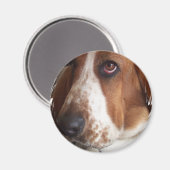 バセット犬サーキュラーマグネット マグネット (正面/裏面)