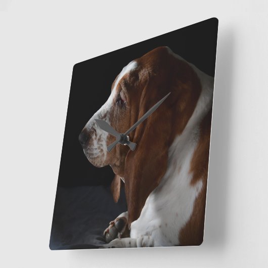 バセット・ハウンドが家に帰るのを待来っている スクエア壁時計 (傾斜)