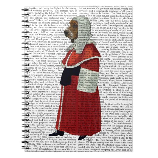 バセット・ハウンド・ジャッジ・フル ノートブック (正面)