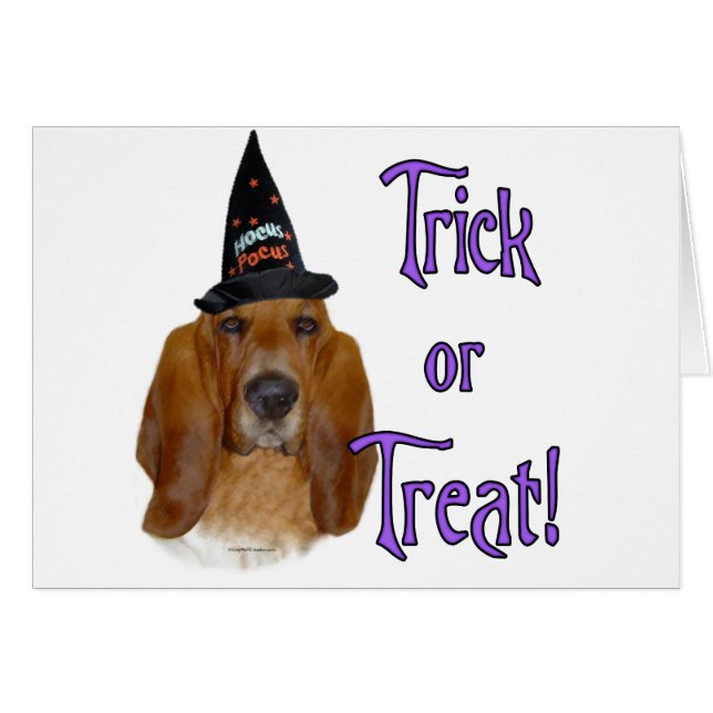 バセット・ハウンド・トリック (正面横)