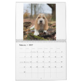 バセット·ハウンド·パンピー カレンダー (2月 2027)