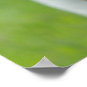 バセット・ハウンド ポスター (角)