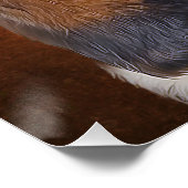 バセット・ハウンド・ポスター ポスター (コーナー)