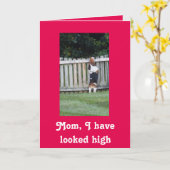 バセット・ハウンド・マザーズ・デイ・カード カード (黄色い花)