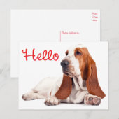 バセット・ハウンド・ワンピー・ドッグ・レ考えるッド・ハローズ・オブ・ユー ポストカード (正面/裏面)