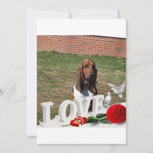 バセット・ハウンド・ヴァレンティネス・デイ・カード シーズンカード (正面)