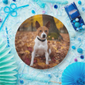 バセンジイン紅葉秋 ペーパープレート (パーティー)