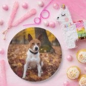 バセンジイン紅葉秋 ペーパープレート (パーティー)