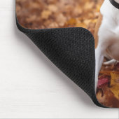 バセンジイン紅葉秋 マウスパッド (コーナー)