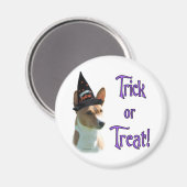 バセンジトリック マグネット (正面/裏面)