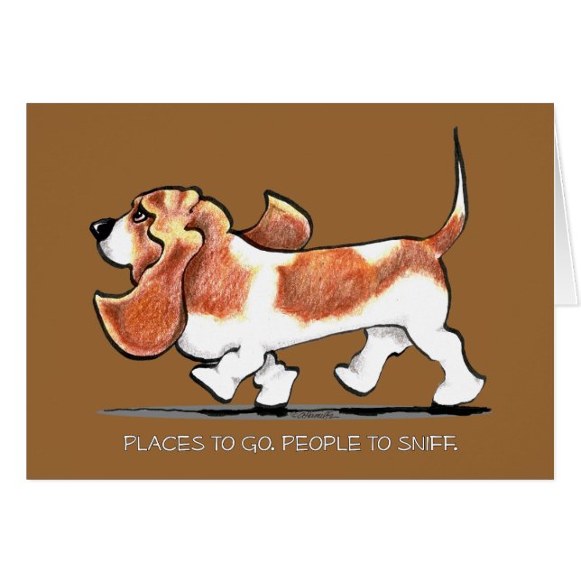 バセ忙しットハウンド (正面横)