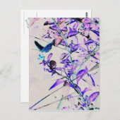 バタフモダンライ – はがき (正面/裏面)