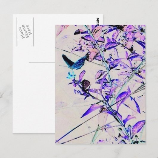 バタフモダンライ – はがき (正面/裏面)