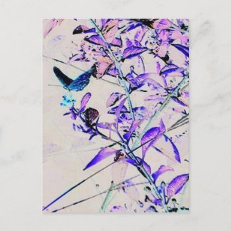 バタフモダンライ – はがき