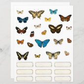 バタフライおよび試料ラベルスクラップブック作り要素 (正面/裏面)