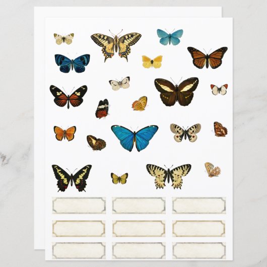 バタフライおよび試料ラベルスクラップブック作り要素 (正面/裏面)