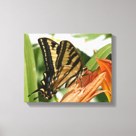 バタフライで包まれたキャンバス キャンバスプリント
