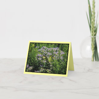 バタフライとモナルダノテカード カード