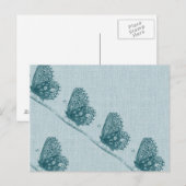 バタフライの列 ポストカード (正面/裏面)