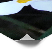 バタフライアイリストリオ ポスター (角)