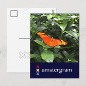 バタフライアムステルグラム ポストカード (正面/裏面)