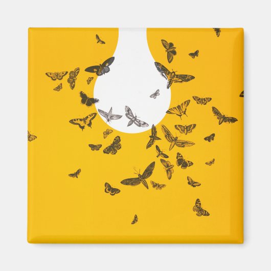 バタフライアートアンエディットヴィンテージ写真（昆虫）オオカバマダラ、モナークお尻 マグネット (正面)