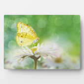 バタフライアートデコールプラーク フォトプラーク (正面)