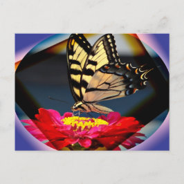 バタフライアートハガキ ポストカード