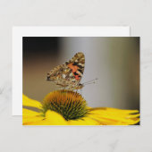バタフライイエローフローラ写真 ポストカード (正面/裏面)