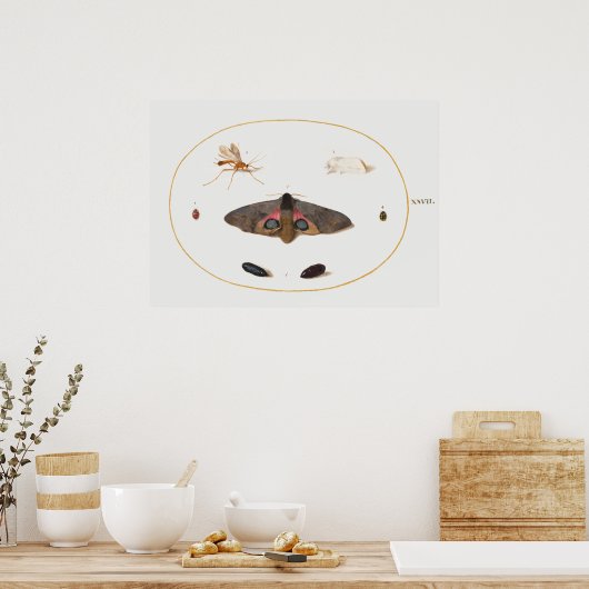 バタフライイラストレーションポスター ポスター (キッチン)