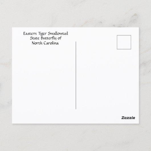 バタフライイースタンタイガーアゲハチョウ写真 ポストカード (裏面)