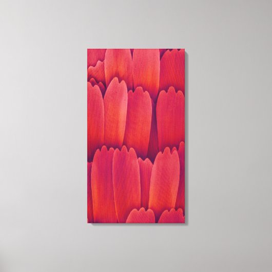 バタフライウはかりで測ィング キャンバスプリント (正面)