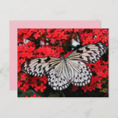 バタフライウイングポストカード ポストカード (正面/裏面)