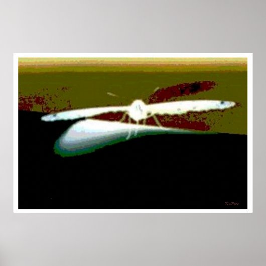 バタフライウイング抽象芸術 ポスター (正面)