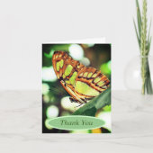 バタフライウォッチング自然パーソナライズされたありがとう カード (正面)