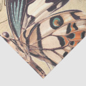 バタフライエフェメラデクページ紙 薄葉紙 (詳細)