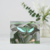 バタフライエメラルドピーコックアゲハチョウ# 5 ポストカード (スタンド正面)