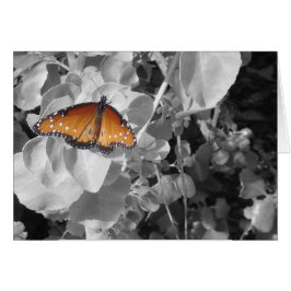 バタフライオレンジ（昆虫）オオカバマダラ、モナーク葉白黒自然