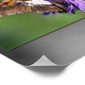 バタフライオンアスター花の部分色 ポスター (角)